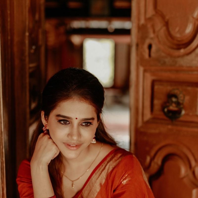Actress Nabha Natesh Latest Photos