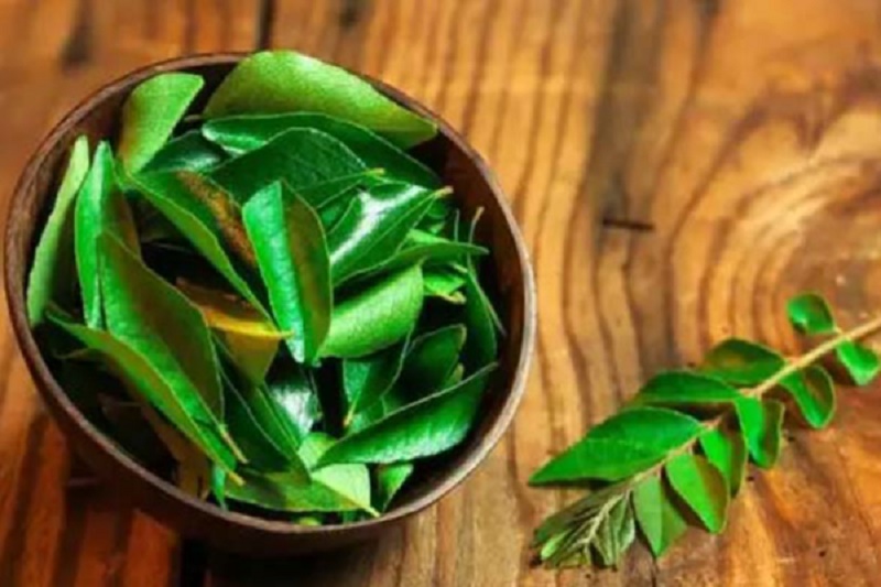 Medicinal benefits of curry leaves.
