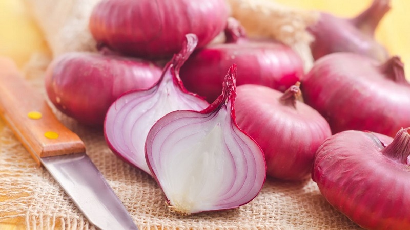 Onion helps diabetics