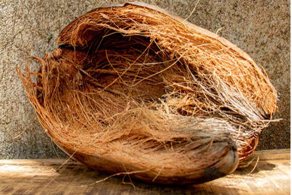 Benefits of coconut shell